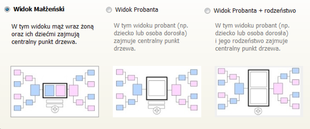 Moi przodkowie - szablon układu danych